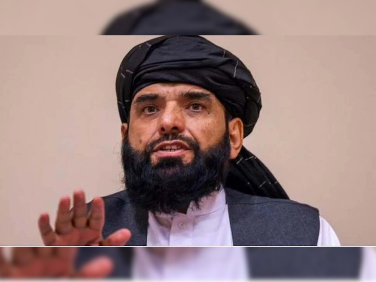तालिबान प्रवक्‍ता सुहैल शाहीन(फाइल फोटो)