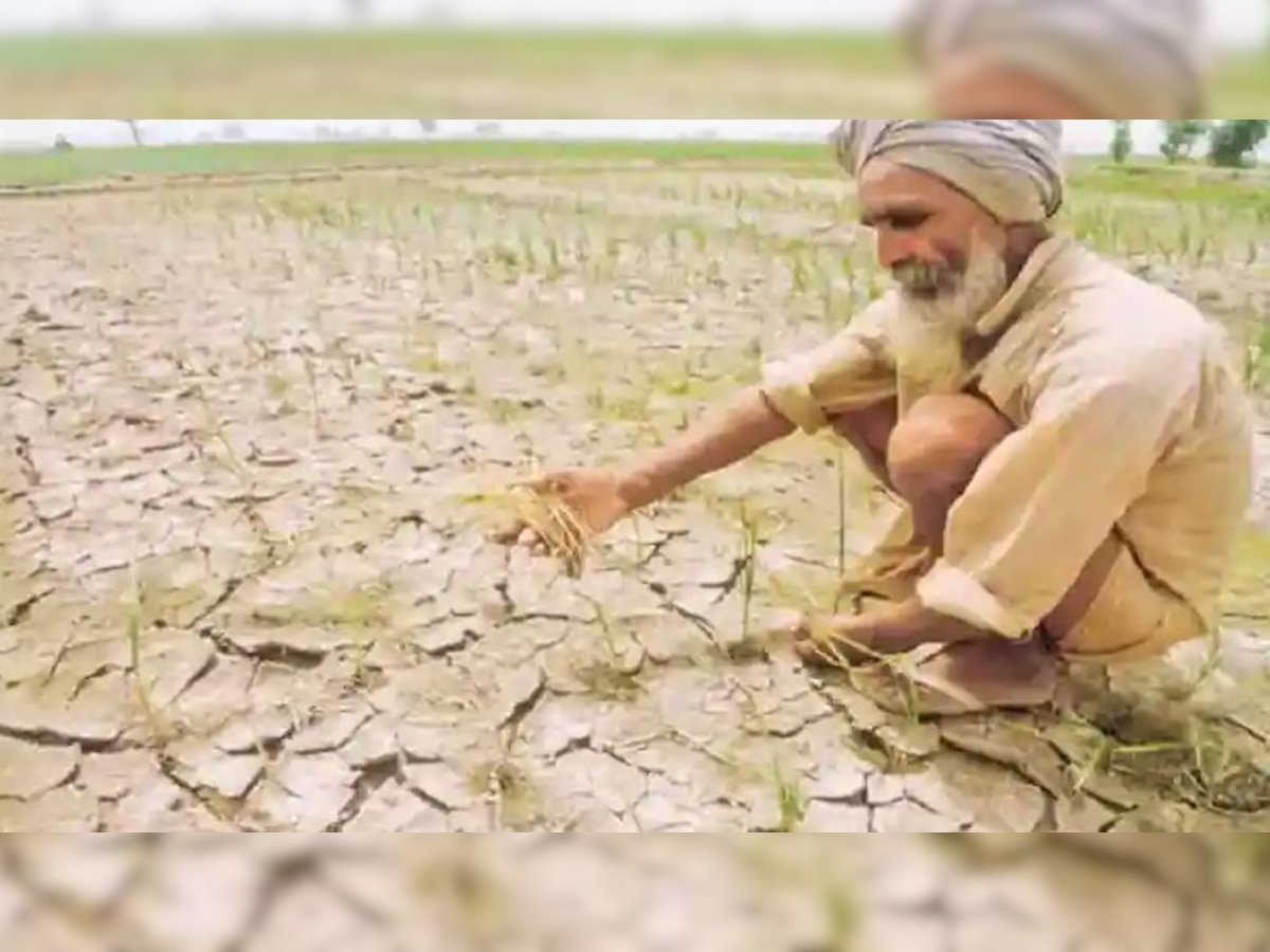 सांकेतिक तस्वीर