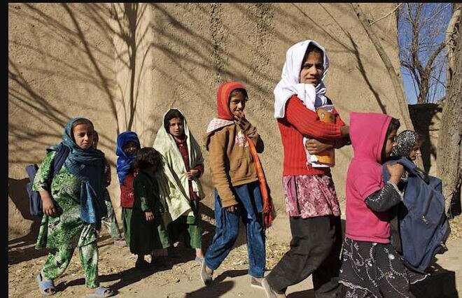 Afghanistan: जानिए कौन हैं शबाना बासिज जिन्होंने लड़कियों के सभी दस्तावेजों को लगाई आग, वीडियो वायरल