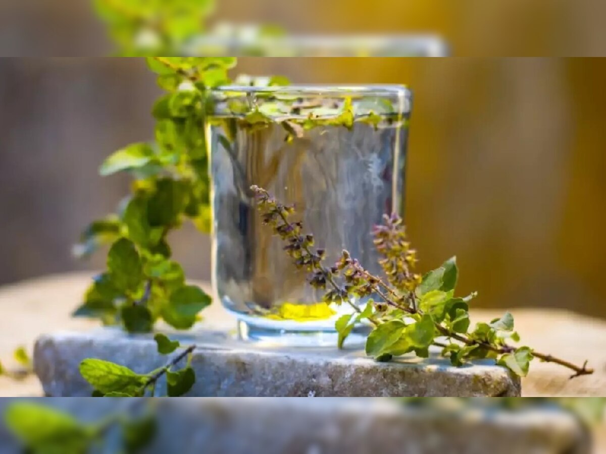 benefits of drinking tulsi water