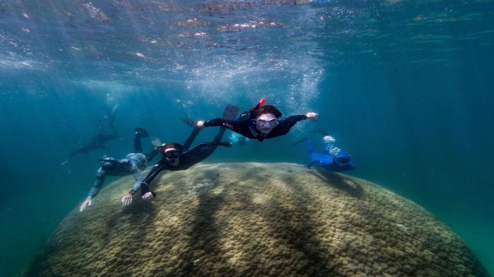 Great Barrier Reef: मिल गया 400 साल से ज्यादा पुराने Coral का खजाना, झेल चुके हैं 80 खतरनाक चक्रवात