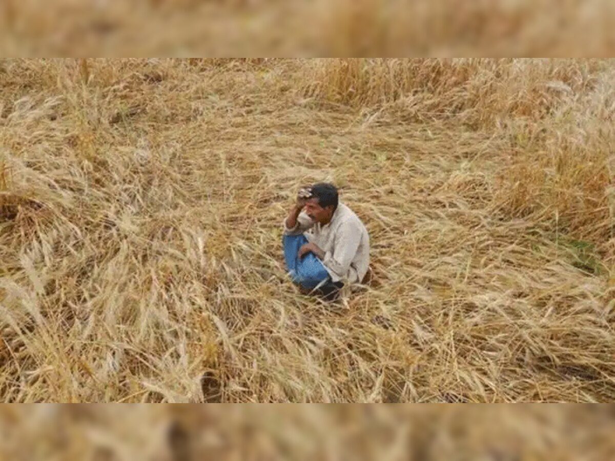 प्रतीकात्मक तस्वीर