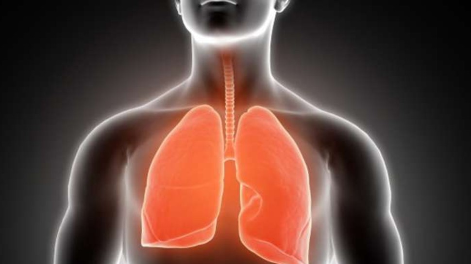 Harmful Food for Lungs: फेफड़ों को सीधा नुकसान पहुंचाती हैं यह 5 चीजें, लिमिट में ही करें सेवन