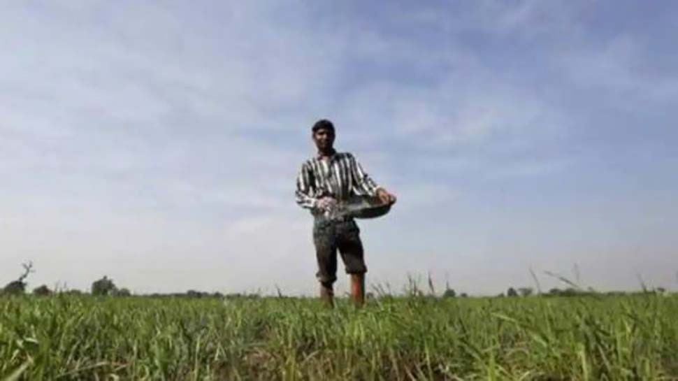 महाराष्ट्र: किसान ने मांगी गांजे की खेती की इजाज़त, प्रशासन से कही ये बात