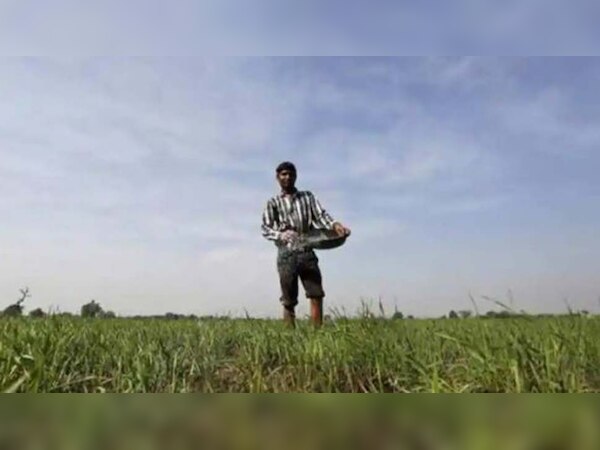 सांकेतिक फोटो