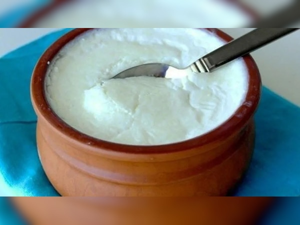 eating curd frozen in clay pots