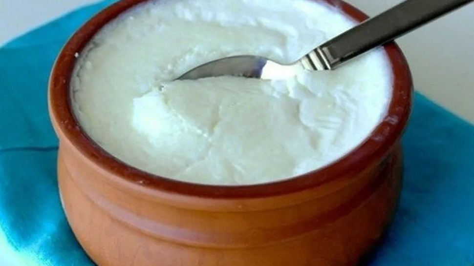 eating curd frozen in clay pots eating curd frozen in clay pots