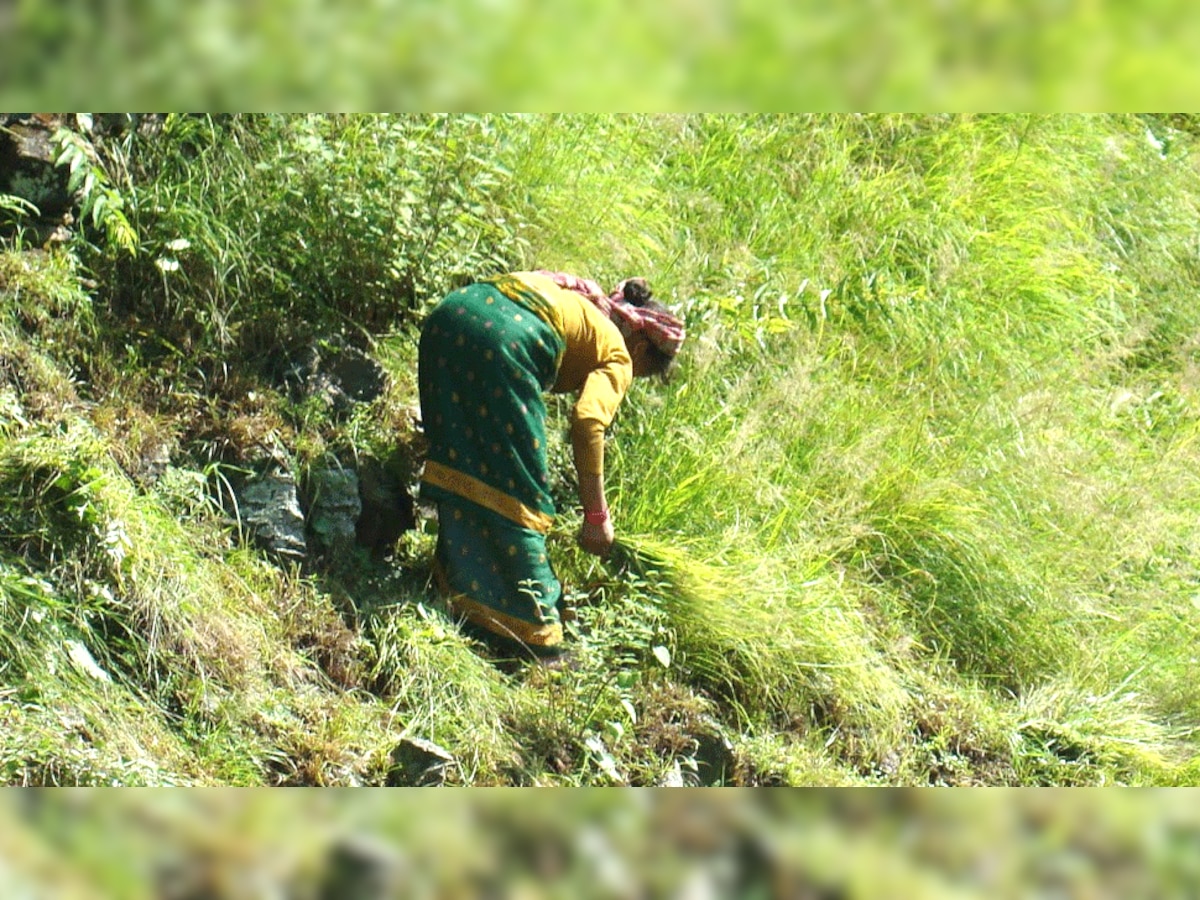 प्रतीकात्मक तस्वीर.