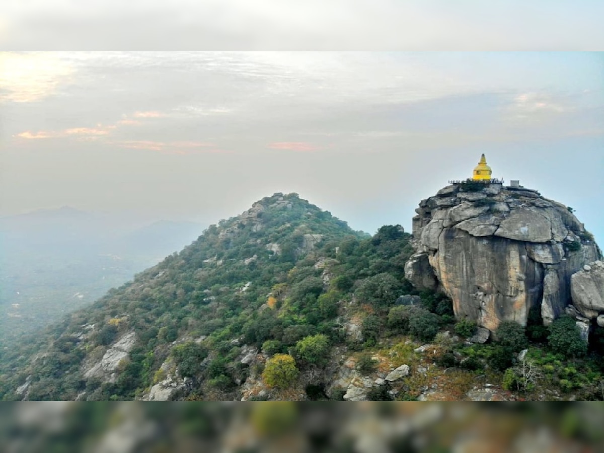 पहाड़ों के संरक्षण के लिए नालंदा विश्वविद्यालय ने बढ़ाए कदम (फाइल फोटो) 