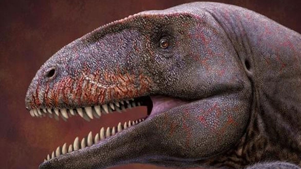 यहां खुदाई में मिले 9 करोड़ साल पुराने Dinosaur के अवशेष, स्टडी में हुआ बड़ा खुलासा