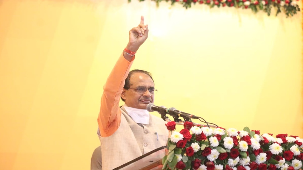 फाइल फोटो. फाइल फोटो.