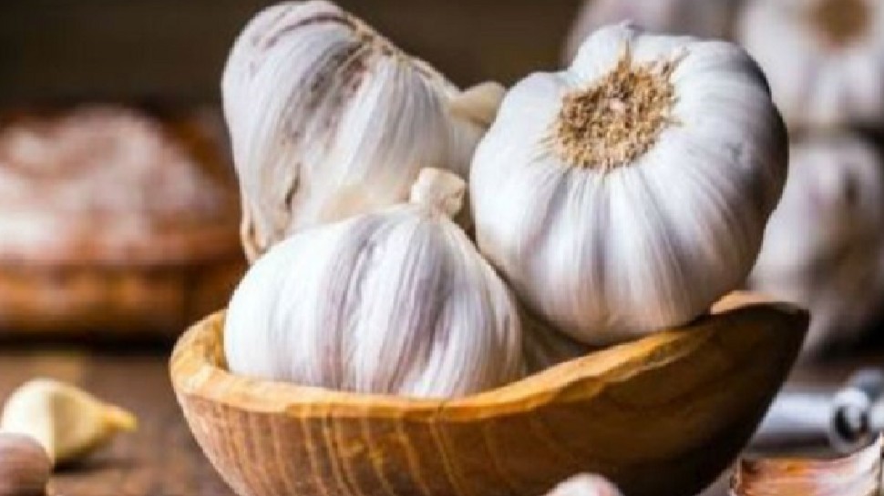 Benefits of garlic: शादीशुदा पुरुष इस वक्त खाना शुरू करें कच्चे लहसुन की 2 कलियां, फायदे चौंका देंगे!