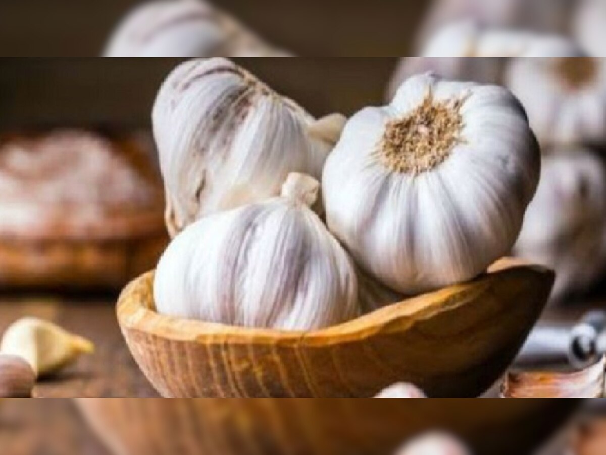 Benefits of garlic