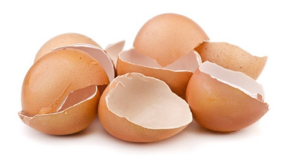 Egg Shells Benefits: ये बड़ा फायदा देते हैं अंडे के छिलके, फेंके नहीं बल्कि ये काम करें