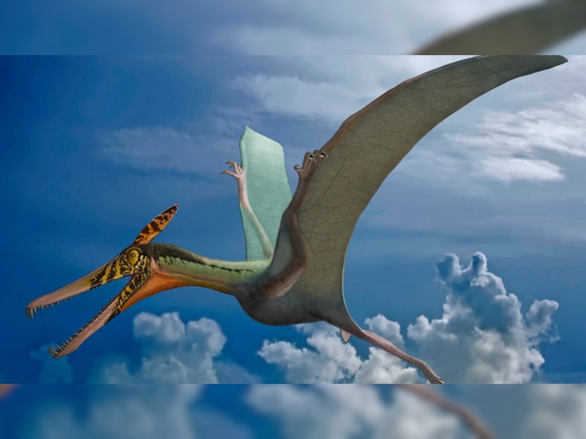 Flying Dragon ने उड़ाए सबके होश, वैज्ञानिकों ने देखा तो कही ऐसी बात