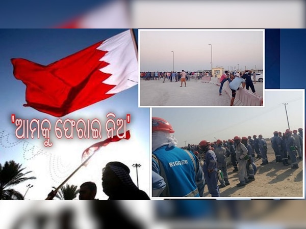 ଡିଜାଇନ୍ ଫଟୋ