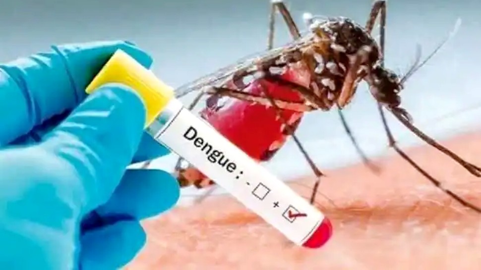 Dengue Test के लिए प्राइवेट लैब नहीं वसूल पाएंगी मनमाना चार्ज, DM लखनऊ ने रेट किए फिक्स