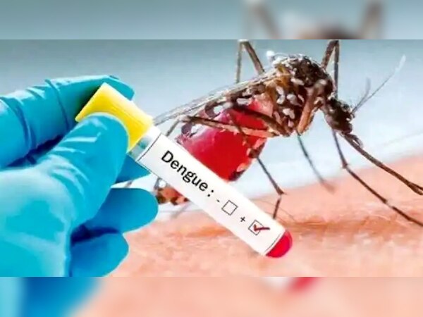 फाइल फोटो.