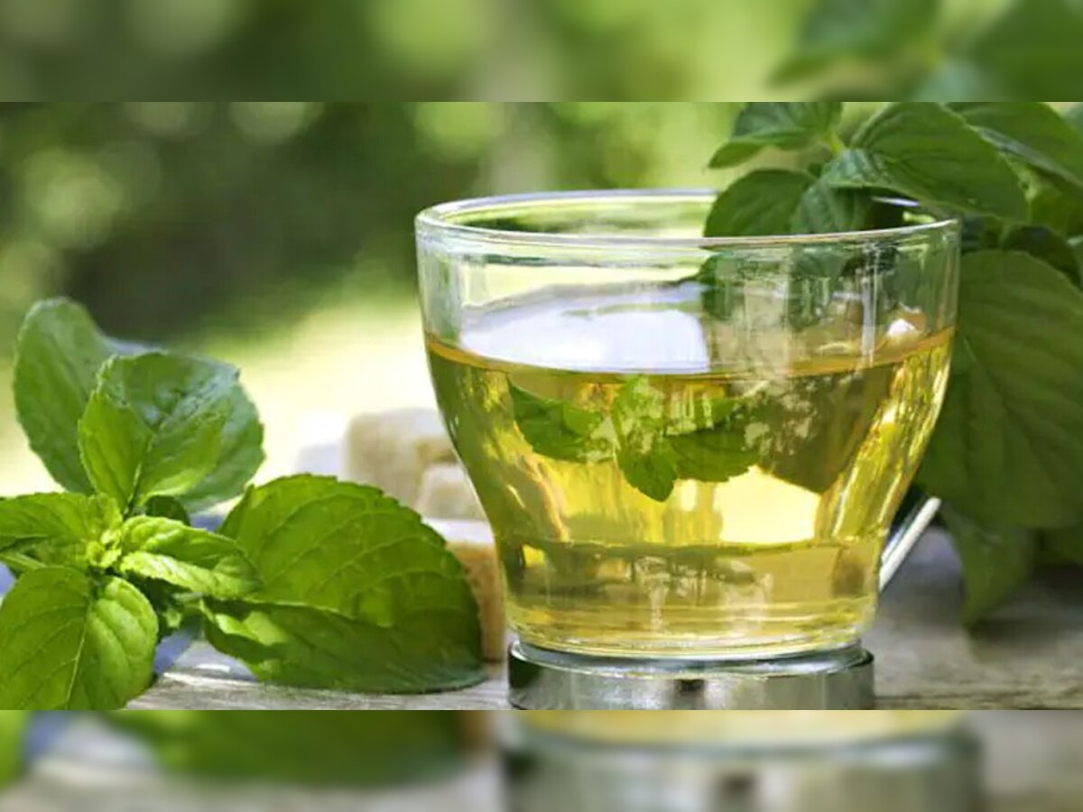 Ayurvedic Tea: पेट से जुड़ी हर प्रॉब्लम को दूर करेगी ये आयुर्वेदिक चाय, जानें क्या है बनाने का तरीका