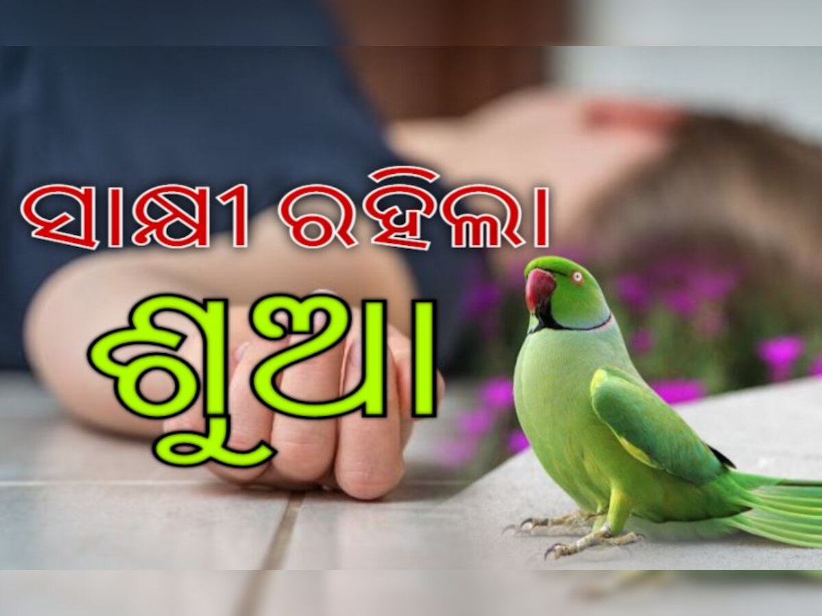 ଡିଜାଇନ୍ ଫଟୋ