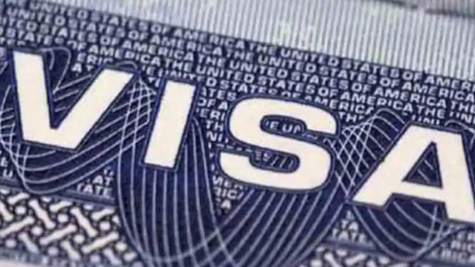 25 मार्च से लगी है रोक Tourist Visa Resume News C