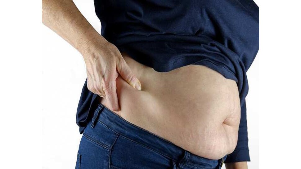 कोई खाने की चीज़ छोड़ने की ज़रूरत नहीं, ऐसे कर सकते हैं Fat Loss