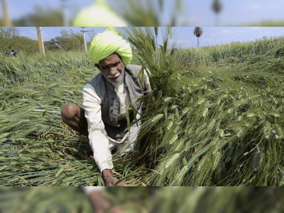 प्रतीकात्मक तस्वीर