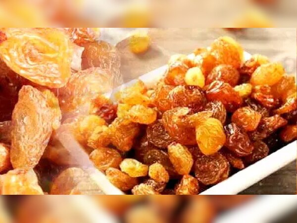 କିସମିସରେ ଲୁଚି ରହିଛି ପୁରୁଷଙ୍କ ସ୍ୱାସ୍ଥ୍ୟର ରହସ୍ୟ: ଏହି ସମୟରେ କରନ୍ତୁ ସେବନ, ମିଳିବ ଆଶ୍ଚର୍ଯ୍ୟଜନକ ଲାଭ 