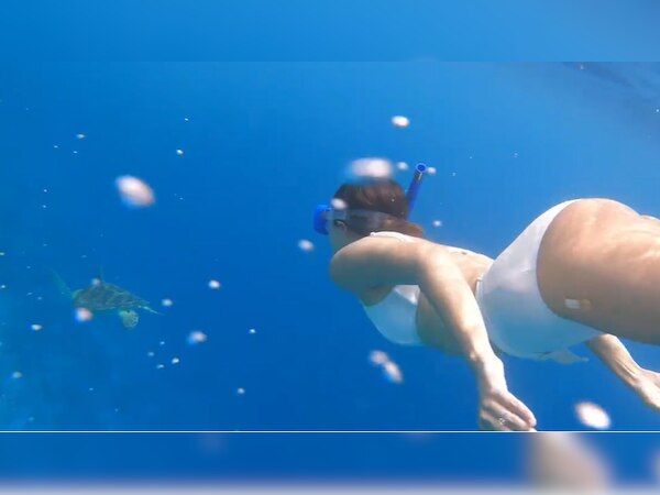 फोटो साभार: Instagram