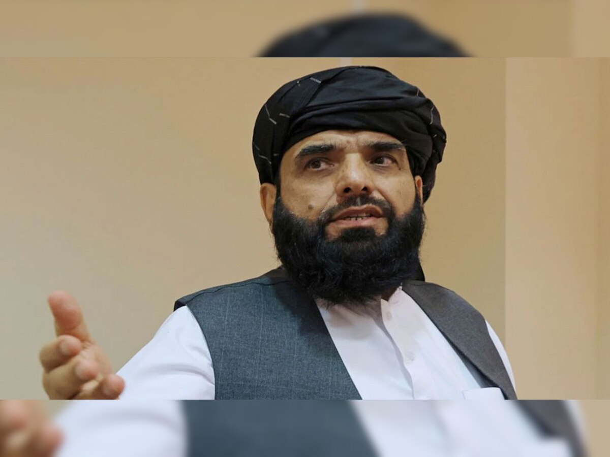 तालिबान प्रवक्ता सुहैल शाहीन फोटो क्रेडिट: (रॉयटर्स)