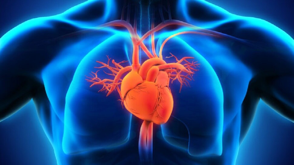Heart Facts: क्या आप जानते हैं अपने दिल के बारे में ये बातें, दूसरा Point है बहुत जरूरी!