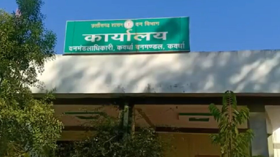 अविश्वसनीय! परेशानी नहीं हुई बर्दाश्त, किराये के शूटरों से ग्रामीणों ने करवा दी 15 से ज्यादा बंदरों की हत्या