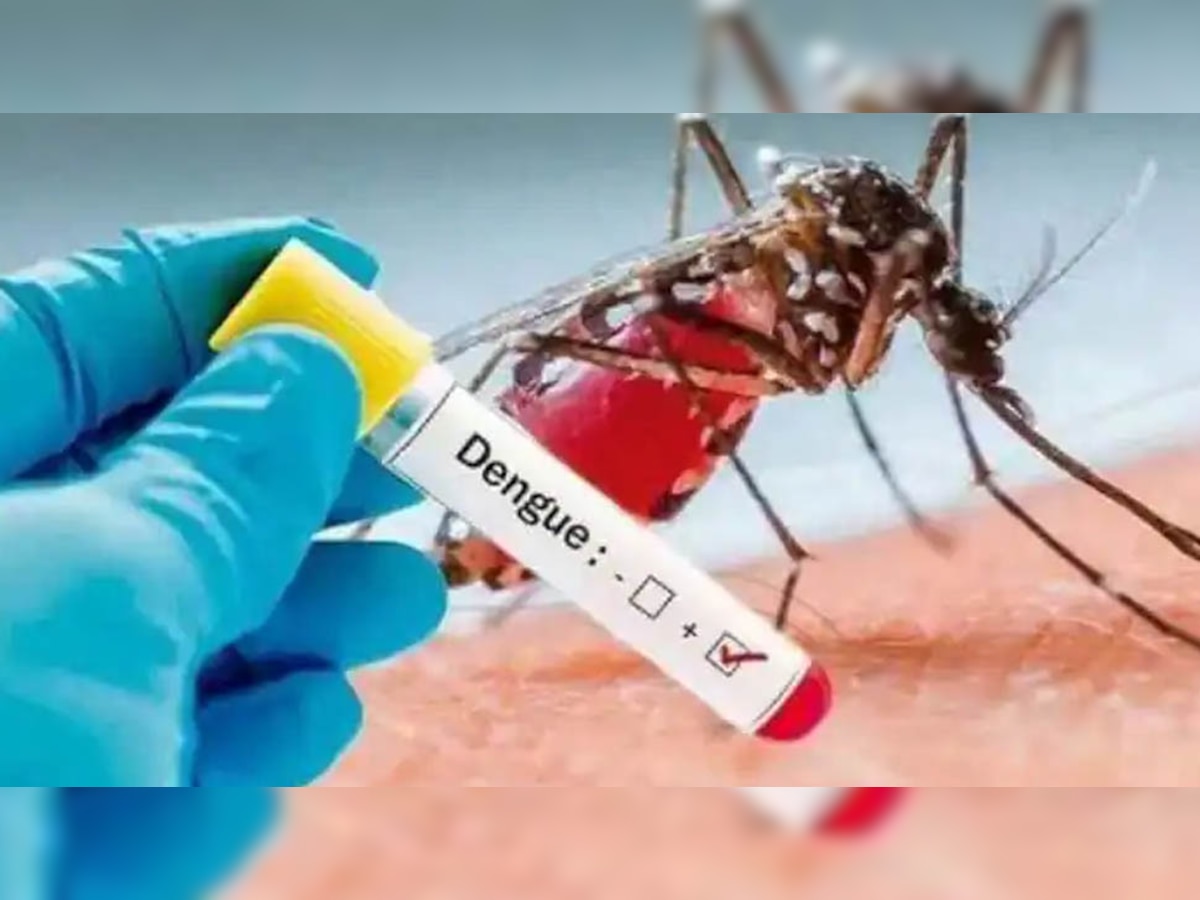 Dengue Fever: डेंगू होने पर घबराएं नहीं, एक्सपर्ट से जानें जल्द रिकवर होने के तरीके