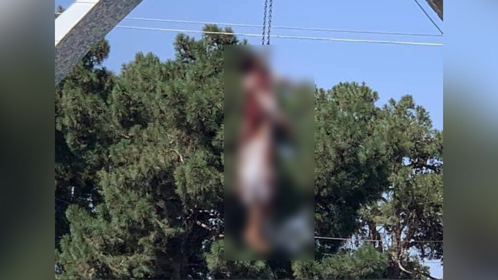तालिबान का ज़ालिम चेहरा, 4 लोगों को बीच चौराहे क्रेन से लटकाया, देखें वीडियो