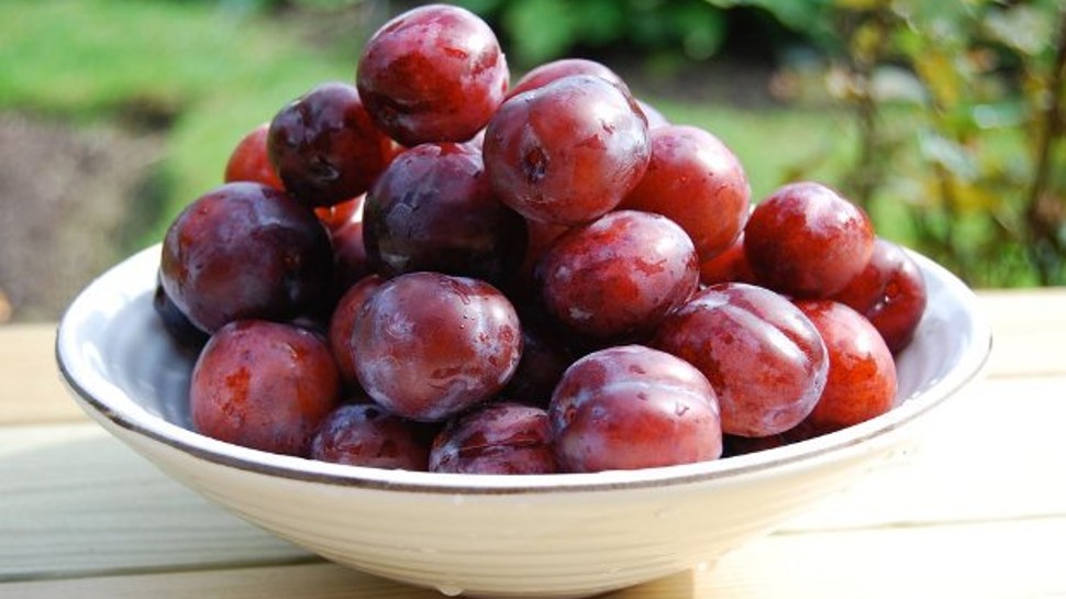 Amazing benefits of plums: हड्डियों को मजबूत बनाता है ये फल, ब्लड शुगर भी करता है कंट्रोल, जानिए जबरदस्त फायदे
