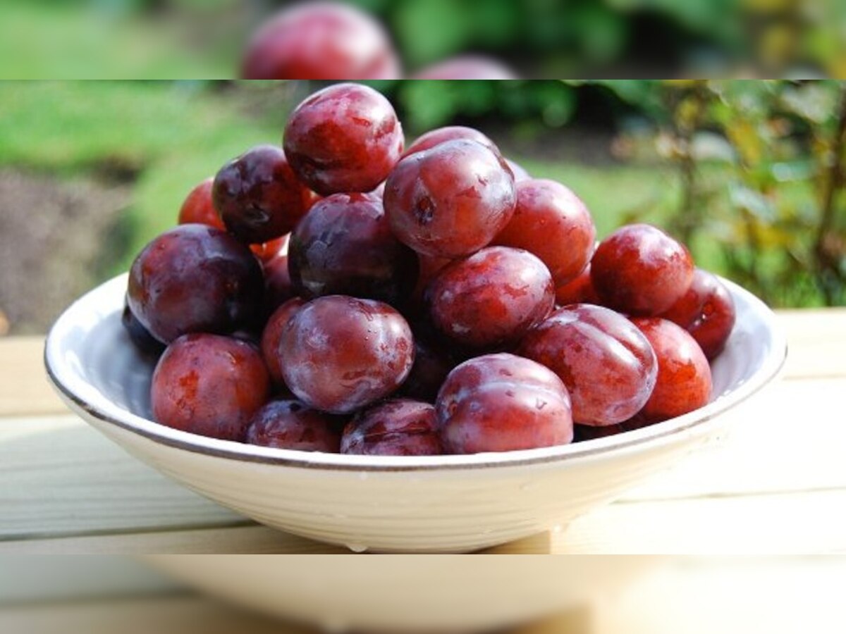 (Know the tremendous benefits of eating plums)