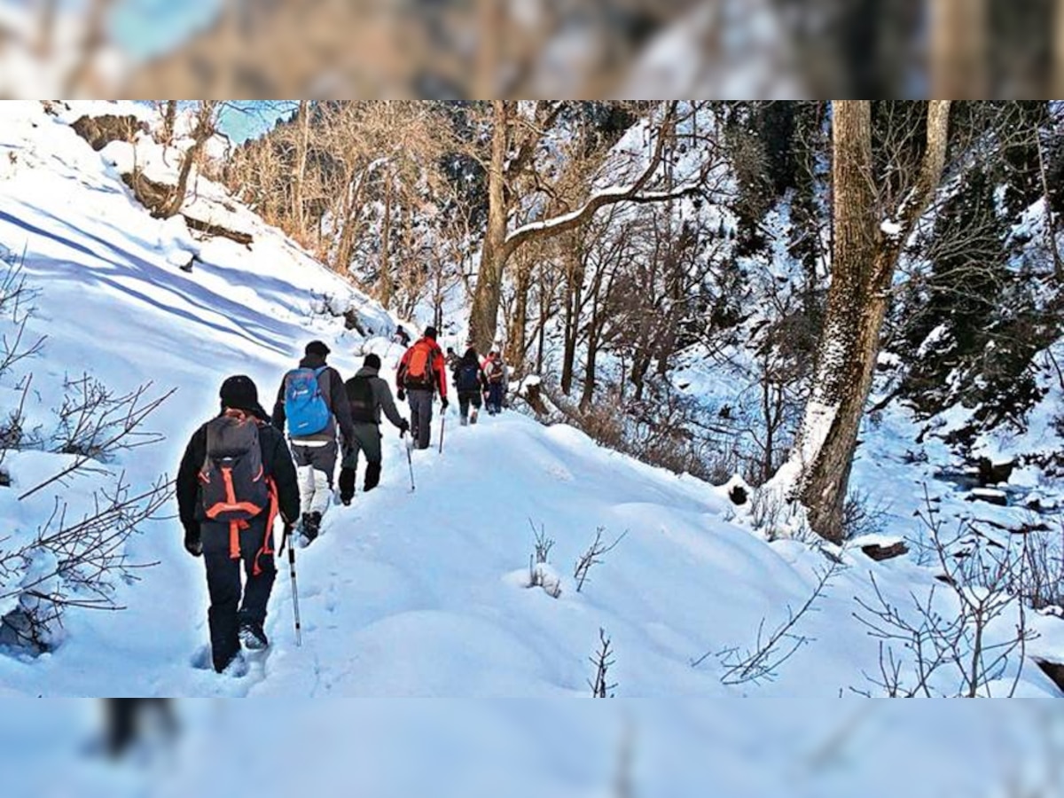 प्रतीकात्मक तस्वीर