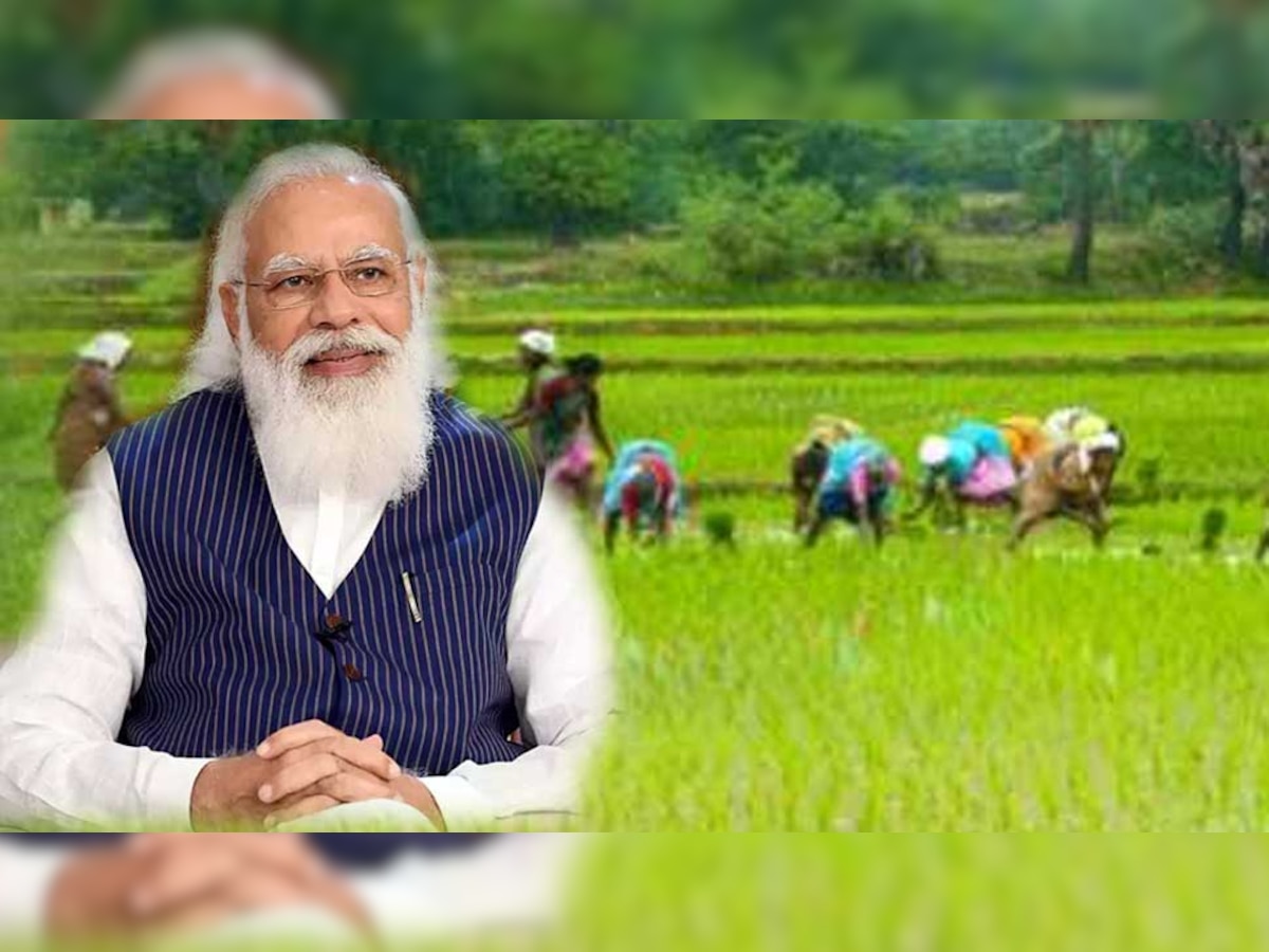 सांकेतिक तस्वीर.