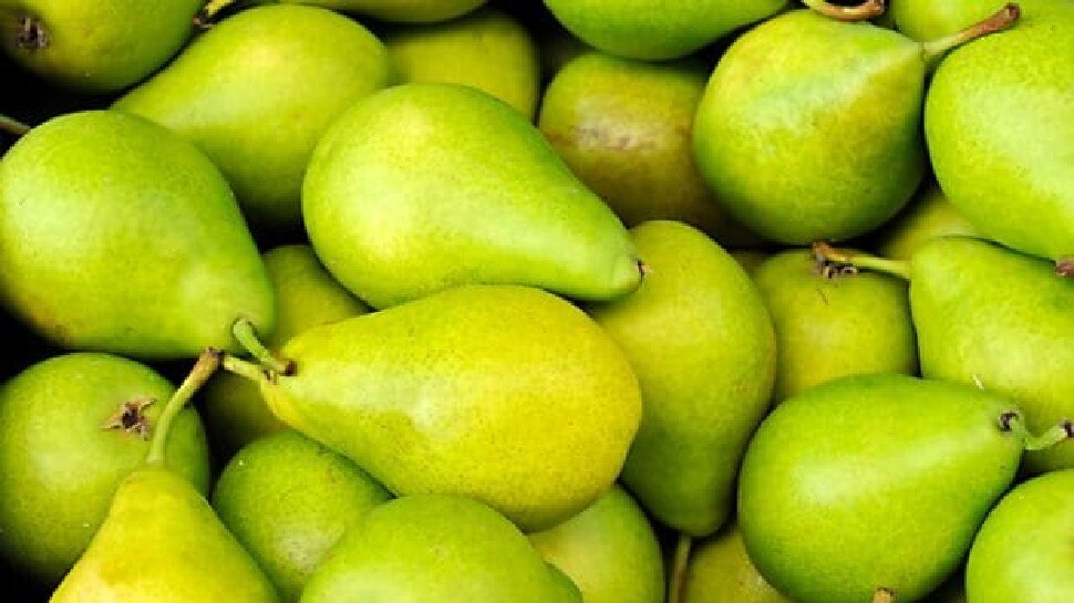 Health Benefits Of Pear: वजन घटाने के साथ इम्युनिटी बूस्ट करता है यह फल, जानिए जबरदस्त फायदे