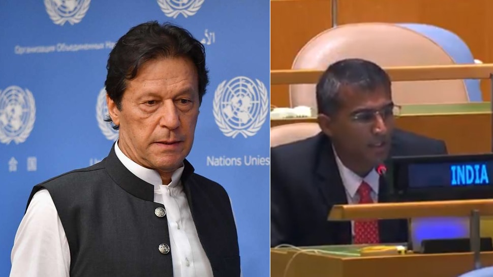 भारत ने UN में पाकिस्तान को फिर सुनाई खरी-खरी, कहा- आपके PM ओसामा को शहीद बताते हैं और...