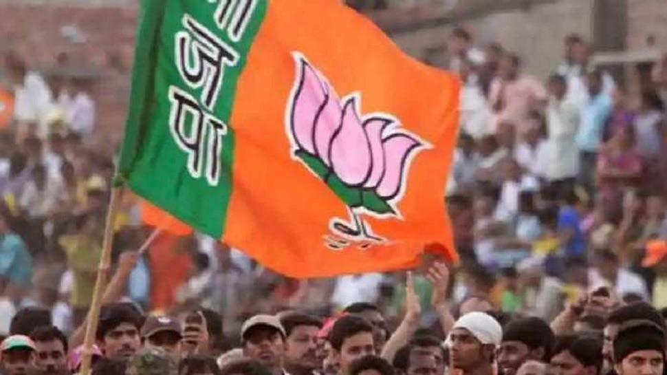 Gandhinagar Muncipal Coperation Election Results: BJP को हाथ लगी बड़ी कामयाबी, 3 सीटों पर ही सिमटी Congress