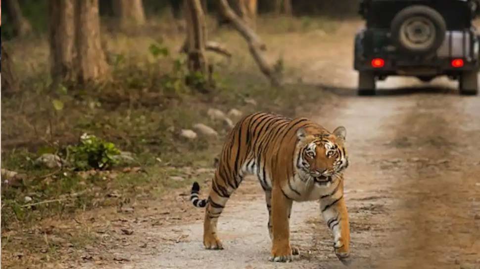 बदला जाएगा जिम कॉर्बेट नेशनल पार्क का नाम, केंद्रीय मंत्री अश्विनी चौबे ने किया दौरा