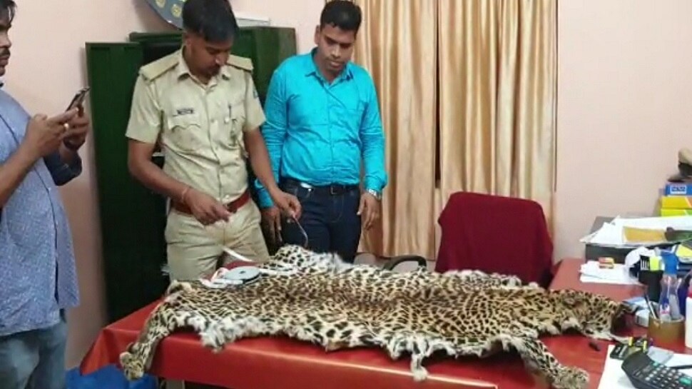କନ୍ଧମାଳରେ ଚାଲିଛି ବାଘ ଚମଡା ରାକେଟ