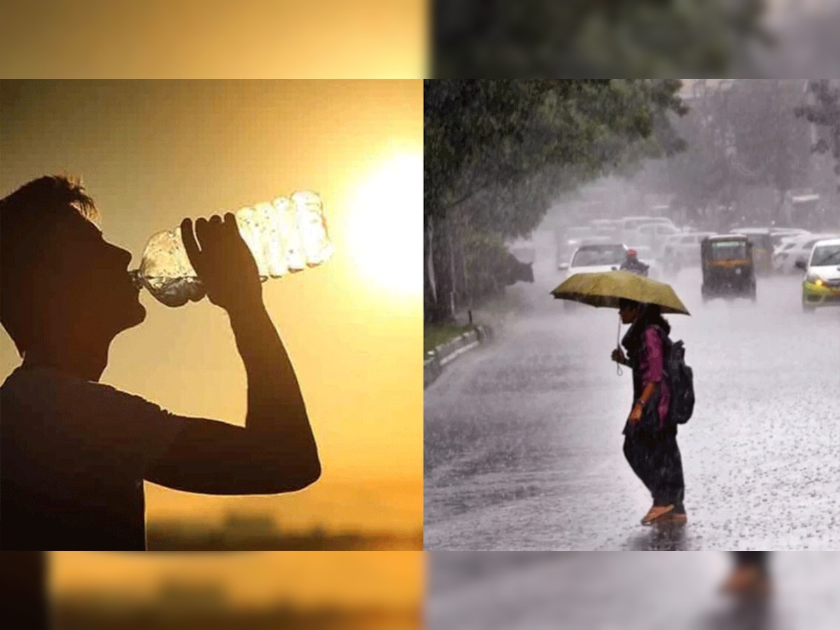 प्रतीकात्मक तस्वीर