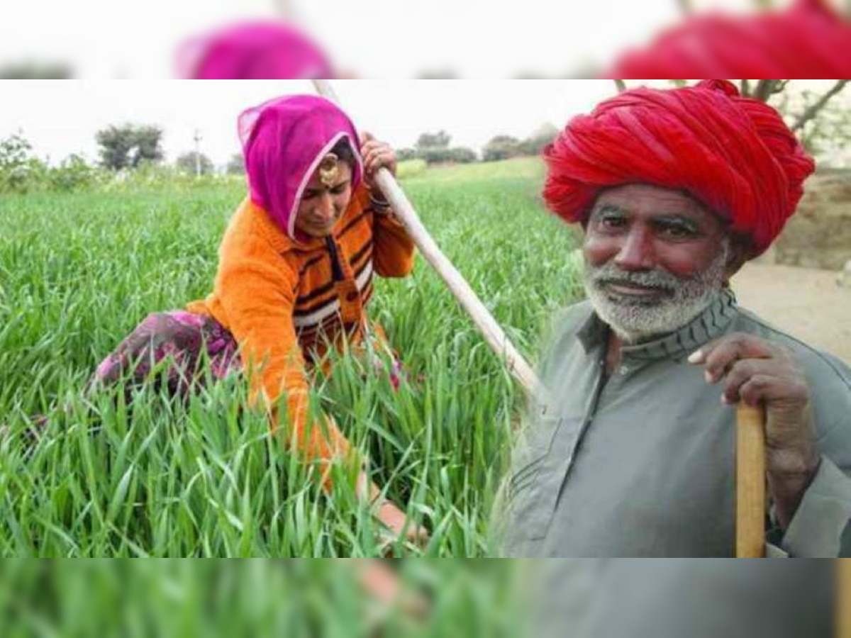 PM Kisan update Register in PM Kisan through goi mobile app, get many ...