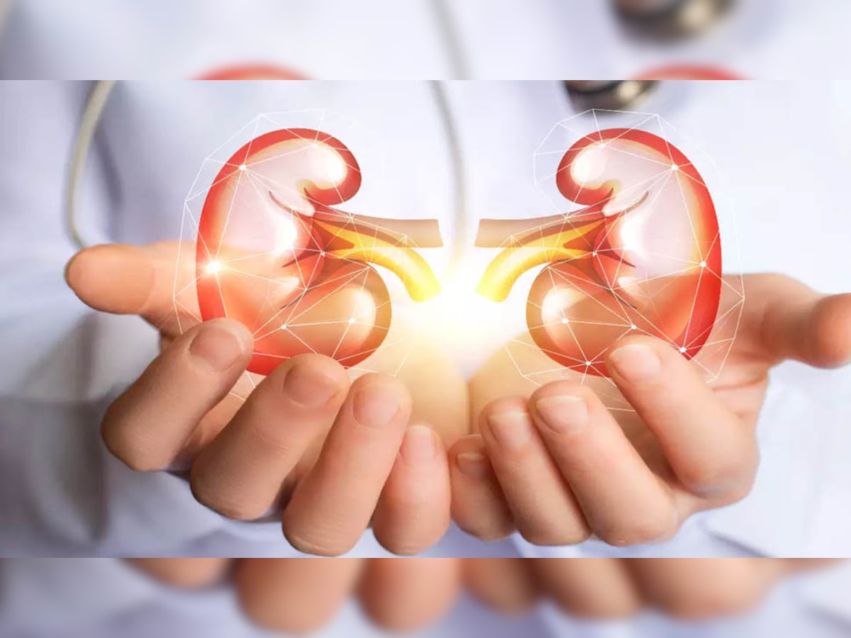 Kidney को सबसे ज्यादा डैमेज करती हैं आपकी ये 6 आदतें, ये लक्षण दिखें तो हो जाएं सावधान