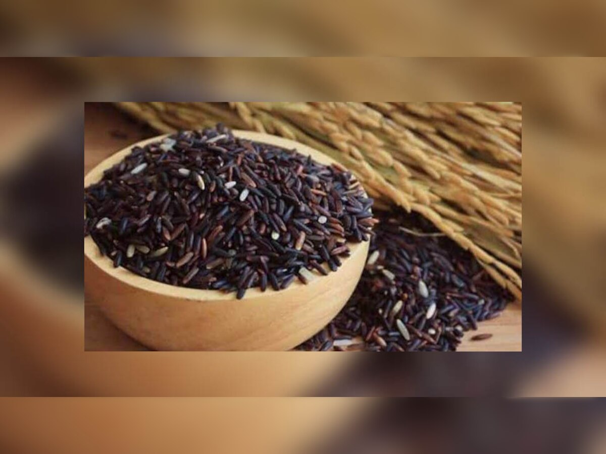 Benefits of Black Rice: क्या आपने कभी खाया ब्‍लैक राइस? ये फायदे जानेंगे तो आज से शुरू कर देंगे खाना