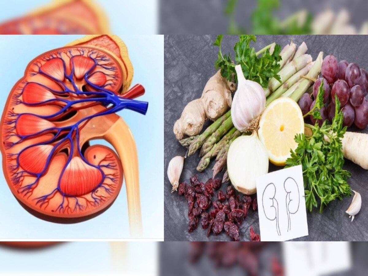 (kidney healthy foods)