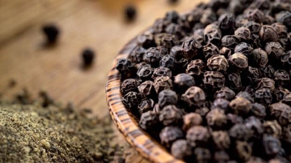 Black Pepper: कहीं नकली काली मिर्च का इस्तेमाल तो नहीं कर रहे हैं आप, जानें चेक करने का तरीका और फायदे