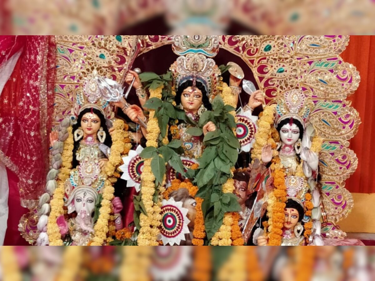 Durga Puja: मूर्ति विसर्जन से पहले जान लीजिए NGT का ये फैसला, यहां पर लगाई गई रोक